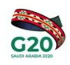 G20